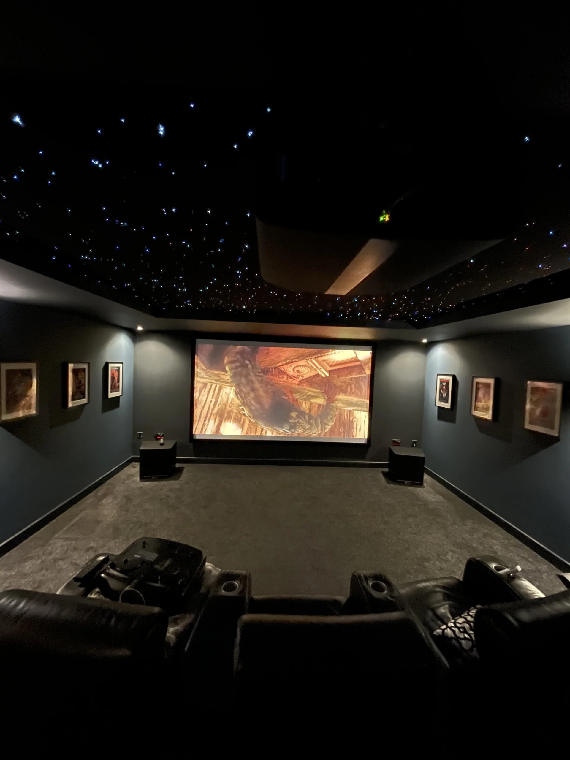 The Case for Professional Home Cinema